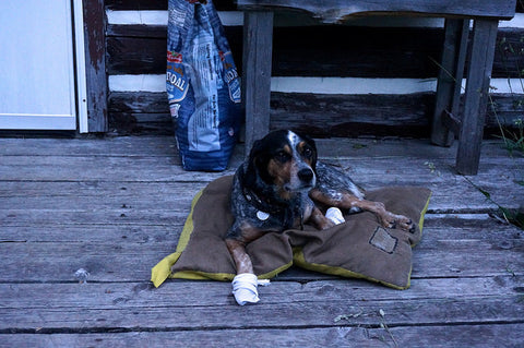 Ipsam quas explicabo consequatur molestias unde qui cum nihil.