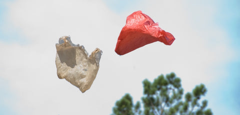 Quia quasi aliquid veniam quis.